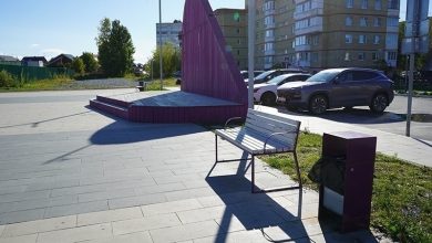 Photo of Поддержание чистоты и порядка в парках