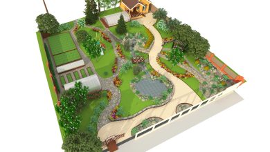 Photo of Создаем красивый ландшафтный дизайн