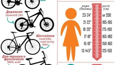 Photo of Особенности и значение выбора велосипеда по типу рамы
