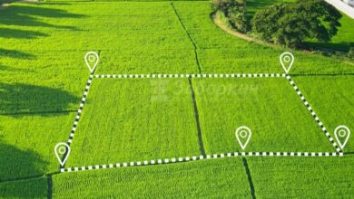 Photo of Особенности выбора участка для строительства в природной среде
